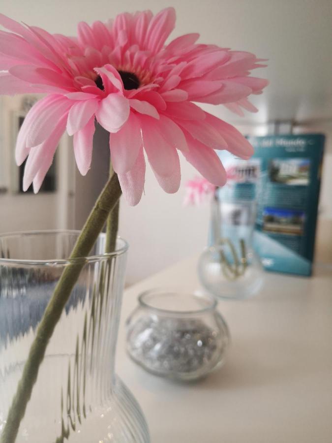 Apartamento Rosa Puerta Del Sol Lägenhet Madrid Exteriör bild